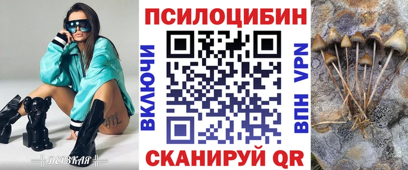 Галлюциногенные грибы Cubensis Красный Кут