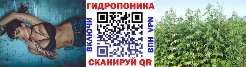 где можно купить Красный Кут Марихуана Ganja